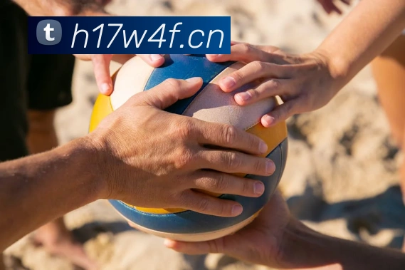 9游会j9国际站官网平台生态图